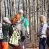 ärlauchwanderung in der Zipfelbachschlucht